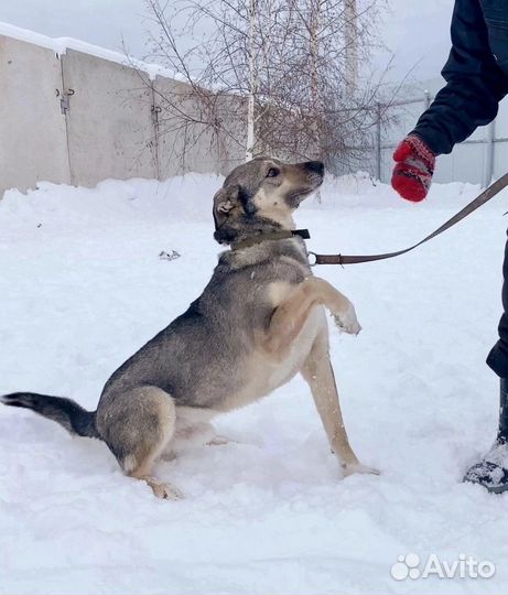 Дени - супергерой