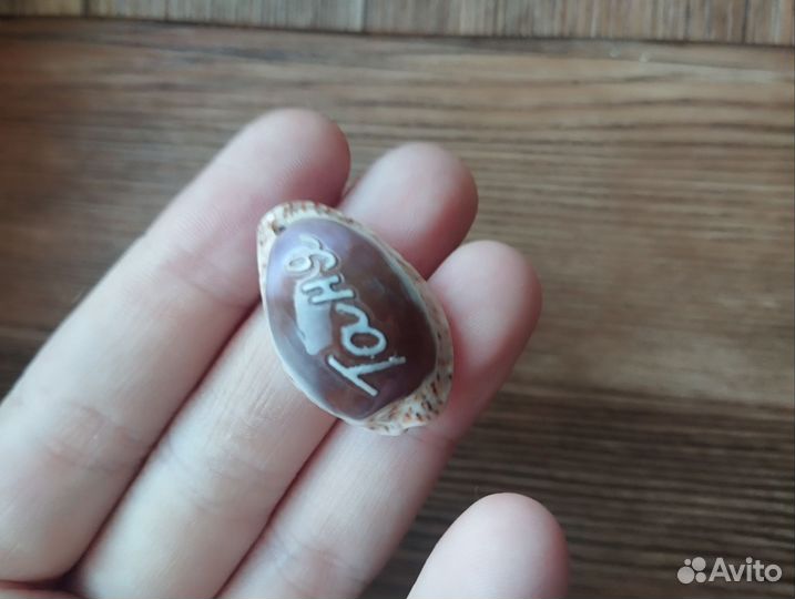 Ракушка брелок Таня