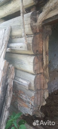 Сруб дома из бревна