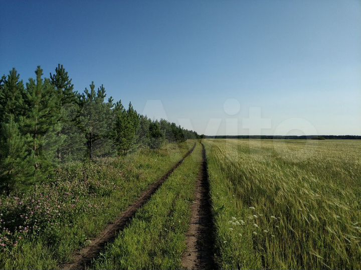 Участок 24 сот. (ИЖС)