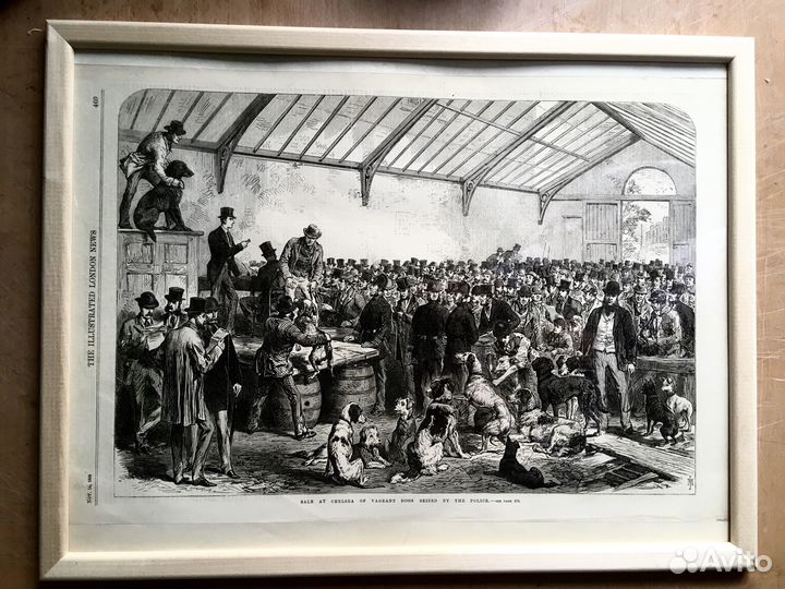 Pacпpoдaжa coбак в Челси 1862год