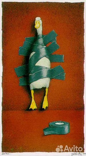 Утки индийский бегунок