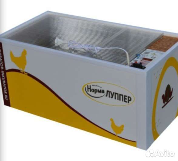 Инкубатор норма Луппер на 72 курин