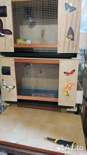 Брудер для цыплят