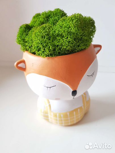 Горшочки (кашпо) со мхом или растениями