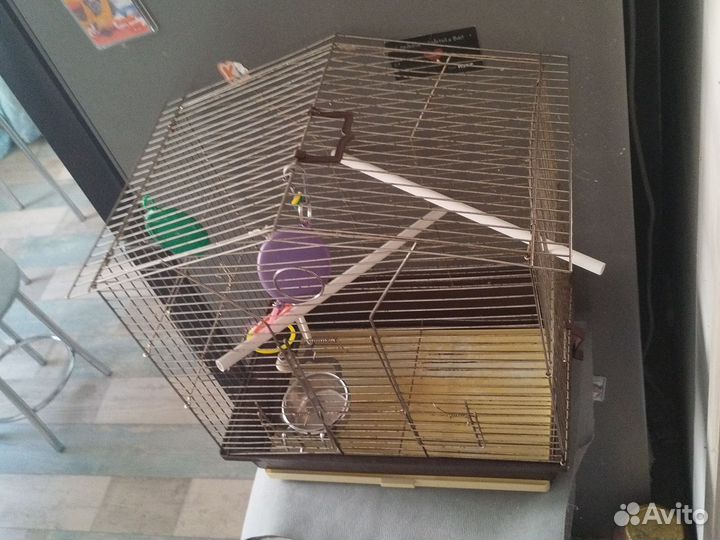 Клетка для волнистого попугая