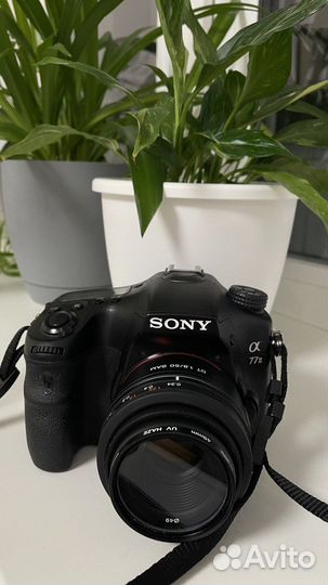Фотоаппарат Sony a77 ii