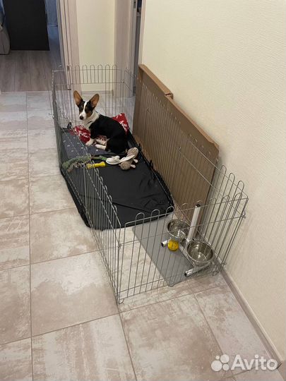 Вольер для собак в квартиру 8 секций