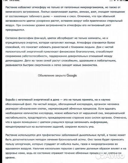 Хлорофитум