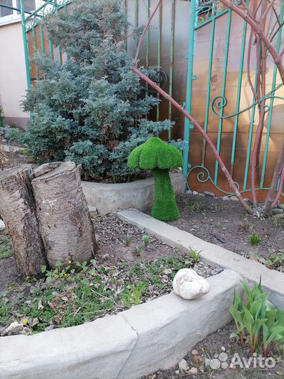 Топиари грибы