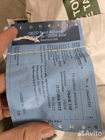 Семена подсолнечника Пионер