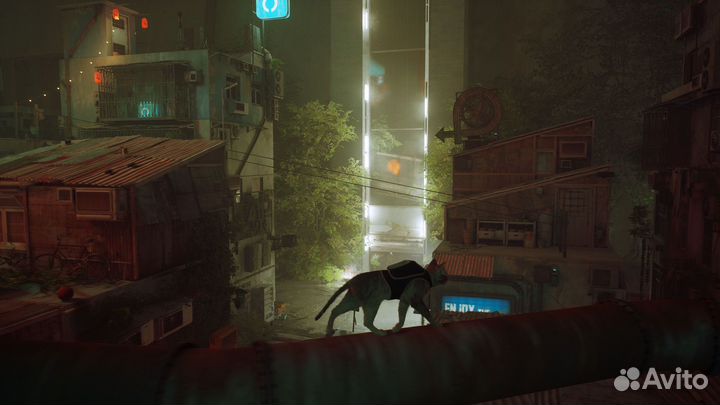 Stray (PS4, PS5)