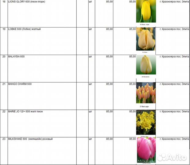 Тюльпаны к 8 марта оптом