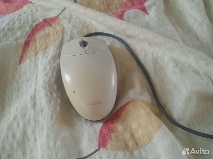 Мышь старая