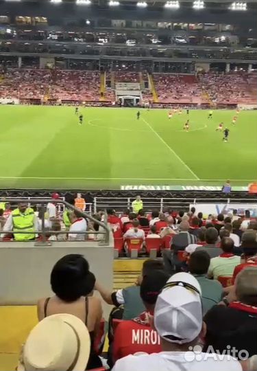 Спартак-Зенит сектор С113