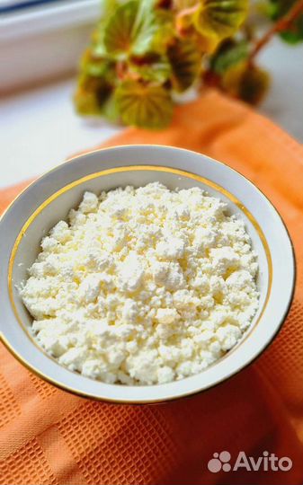 Сыр,творог,молоко(козье)