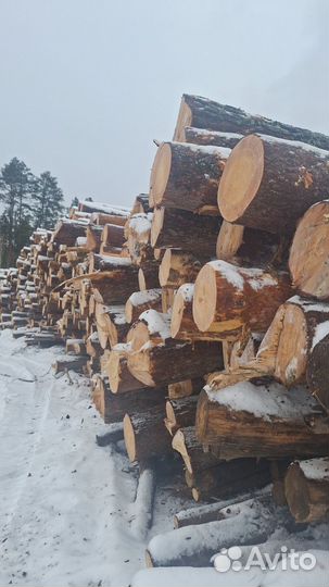 Лес кругляк