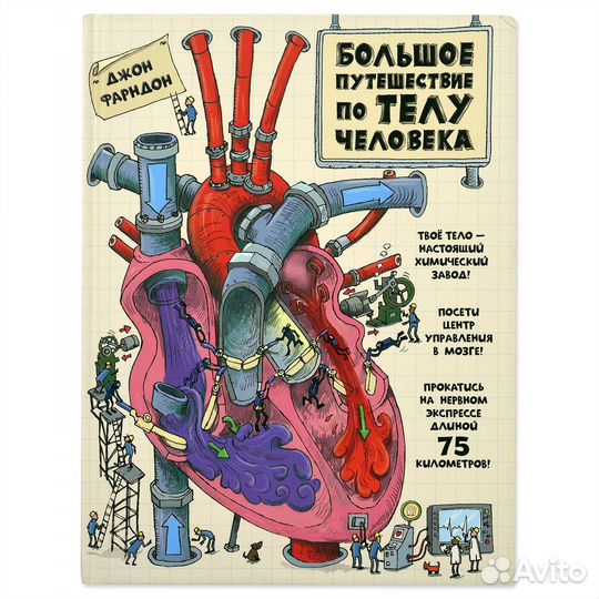 Большое путешествие по телу человека
