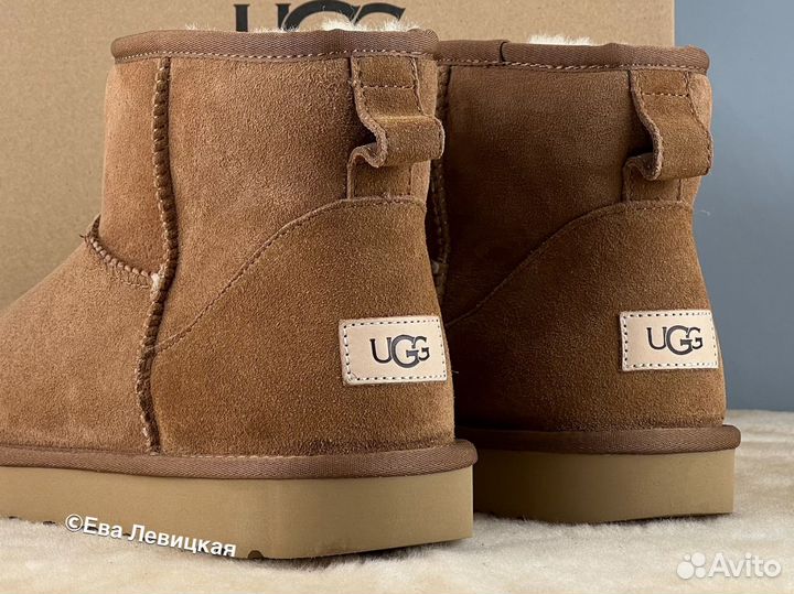 Угги мужские Ugg Mens Classic Mini II Chestnut