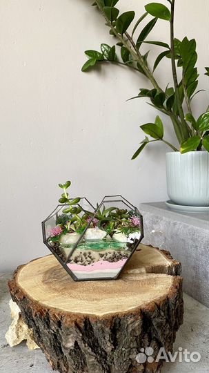 Флорариум Сердце-мини