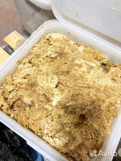 Забрус пчелиный