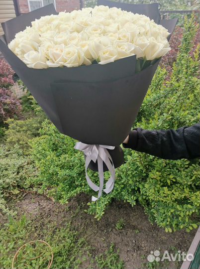 Букет цветов. Розы 101 шт