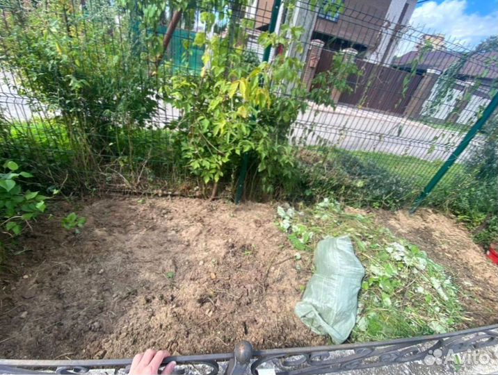 Рулонный газон для небольшого участка