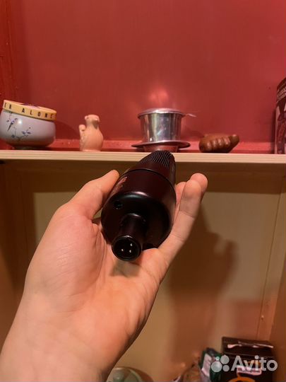 Студийный микрофон SE electronics