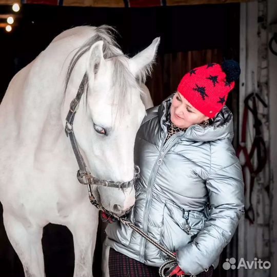 Конные прогулки