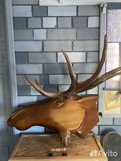 Голова Лося с настоящим рогами