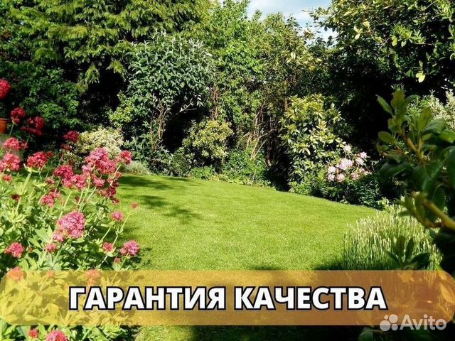 Рулонный газон мятлик купить в Долгопрудном | Товары для дома и дачи ...
