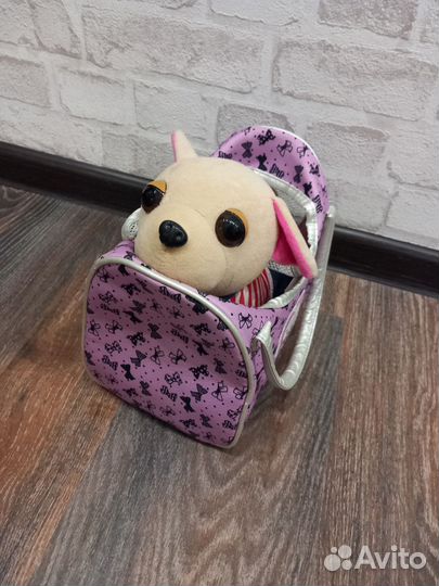 Собака чичилав