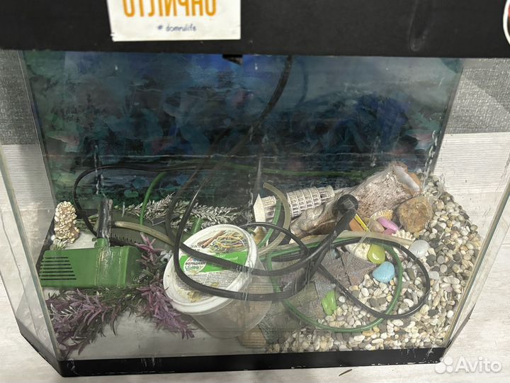 Аквариум