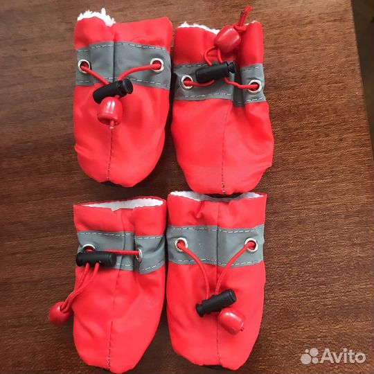 Обувь доя мелких пород собак