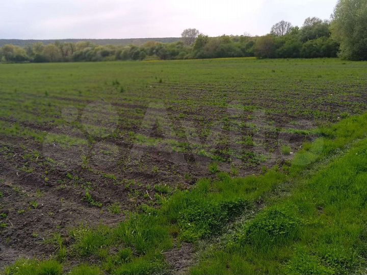 Участок 2,83 га (СНТ, ДНП)