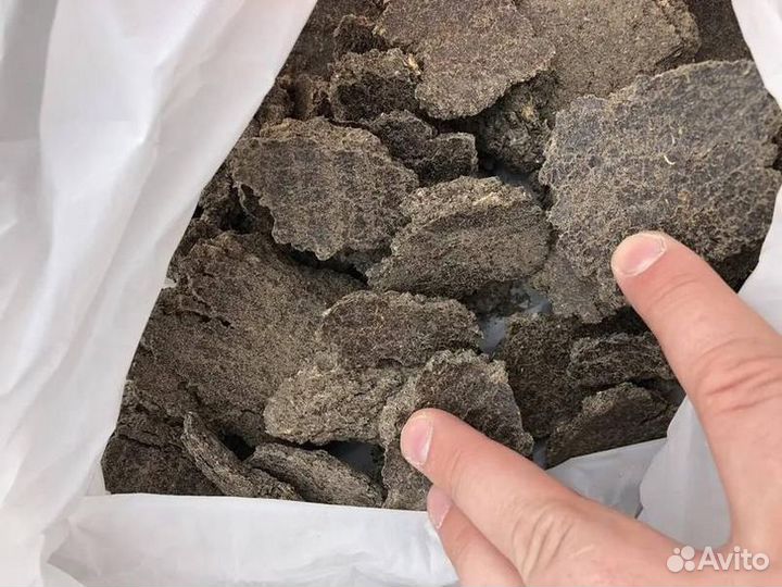 Жмых подсолнечный от производителя