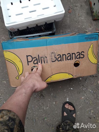 Евро тара,картонные коробки из под овощей