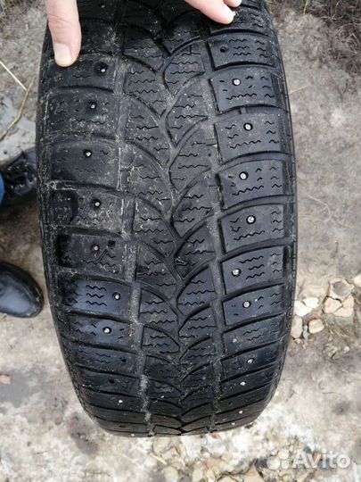 Tigar Winter 205/55 R16