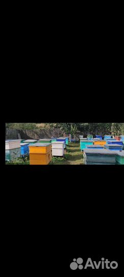 Натуральный Мёд