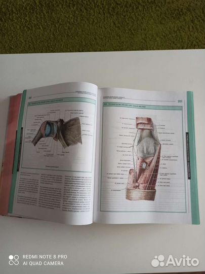 Большой атлас анатомии человека