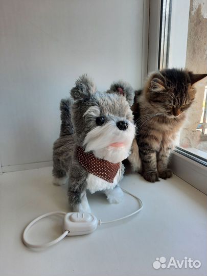 Интерактивная собака на поводке