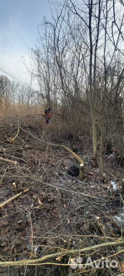 Покос травы, расчистка участка от поросли