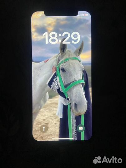 iPhone X, 64 ГБ