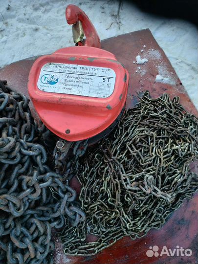 Талька цепная