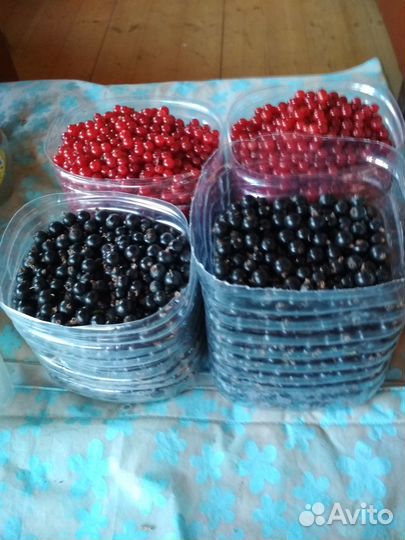 Малина, смородина, крыжовник, ирга, вишня, сирень