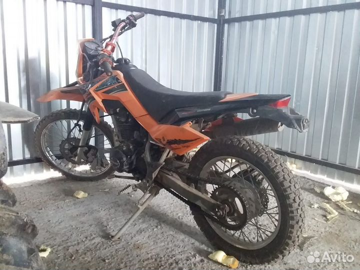 Продается барсик