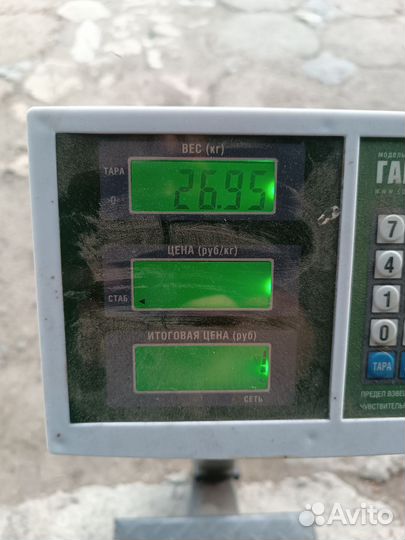 Бетонные столбы, шпалеры