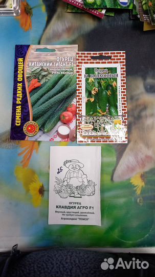 Семена огурцов