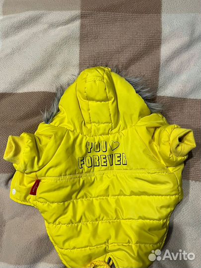 Одежда для собак