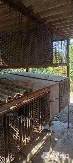 Клетки для нутрий, кроликов бу